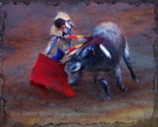 Bullfighter 2